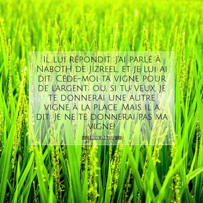 Picture 07 - 1 Rois 21:6 LSG - Il lui répondit: J'ai parlé à Naboth de - Bible Verse Picture