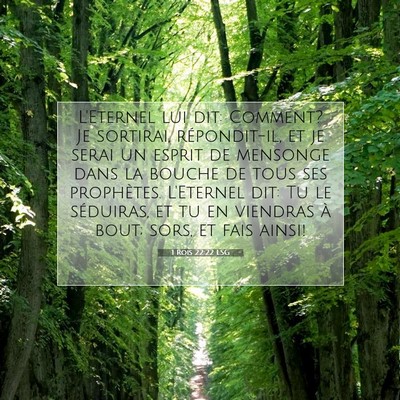 Picture 07 - 1 Rois 22:22 LSG - L'Eternel lui dit: Comment? Je sortirai, - Bible Verse Picture