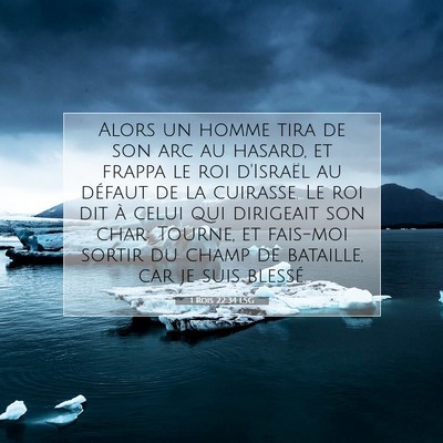 Picture 07 - 1 Rois 22:34 LSG - Alors un homme tira de son arc au hasard, et - Bible Verse Picture