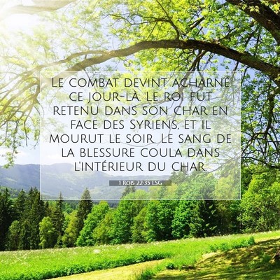 Picture 07 - 1 Rois 22:35 LSG - Le combat devint acharné ce jour-là. Le roi fut - Bible Verse Picture