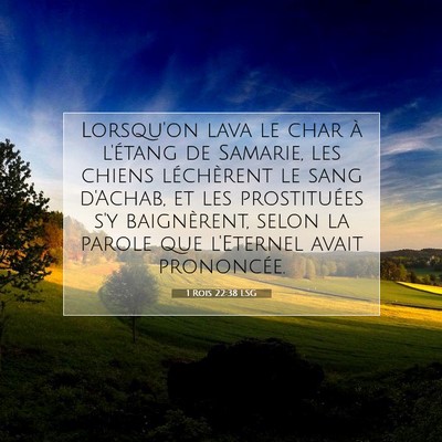 Picture 07 - 1 Rois 22:38 LSG - Lorsqu'on lava le char à l'étang de Samarie, - Bible Verse Picture