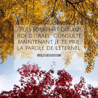 Picture 07 - 1 Rois 22:5 LSG - Puis Josaphat dit au roi d'Israël: Consulte - Bible Verse Picture