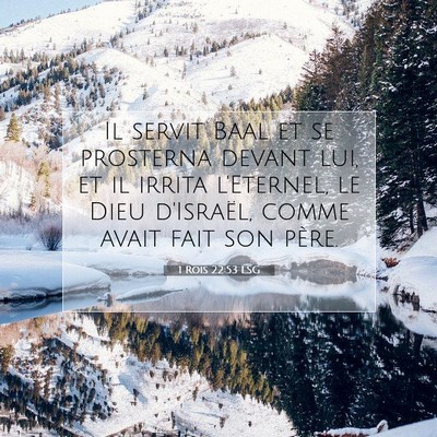 Picture 07 - 1 Rois 22:53 LSG - Il servit Baal et se prosterna devant lui, et il - Bible Verse Picture