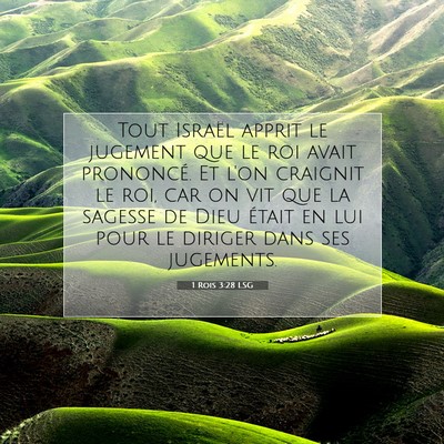 Picture 07 - 1 Rois 3:28 LSG - Tout Israël apprit le jugement que le roi avait - Bible Verse Picture
