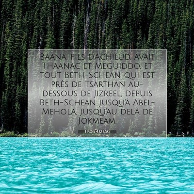 Picture 07 - 1 Rois 4:12 LSG - Baana, fils d'Achilud, avait Thaanac et Meguiddo, - Bible Verse Picture