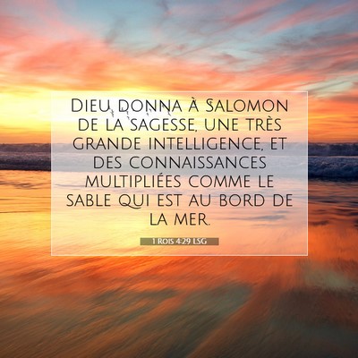 Picture 07 - 1 Rois 4:29 LSG - Dieu donna à Salomon de la sagesse, une très - Bible Verse Picture