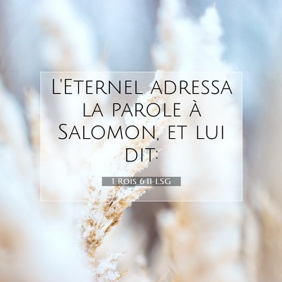 Picture 07 - 1 Rois 6:11 LSG - L'Eternel adressa la parole à Salomon, et lui - Bible Verse Picture