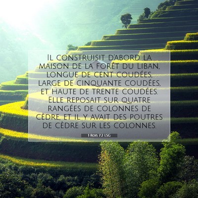 Picture 07 - 1 Rois 7:2 LSG - Il construisit d'abord la maison de la forêt du - Bible Verse Picture