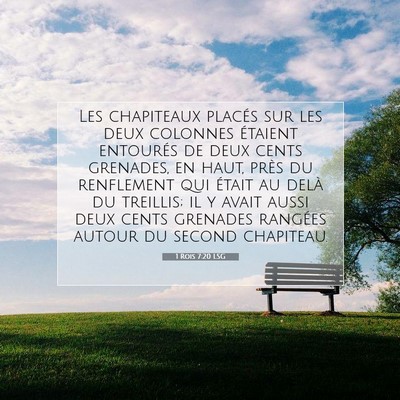 Picture 07 - 1 Rois 7:20 LSG - Les chapiteaux placés sur les deux colonnes - Bible Verse Picture