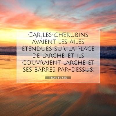 Picture 07 - 1 Rois 8:7 LSG - Car les chérubins avaient les ailes étendues - Bible Verse Picture