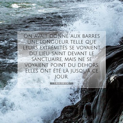 Picture 07 - 1 Rois 8:8 LSG - On avait donné aux barres une longueur telle que - Bible Verse Picture
