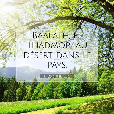 Picture 07 - 1 Rois 9:18 LSG - Baalath, et Thadmor, au désert dans le - Bible Verse Picture