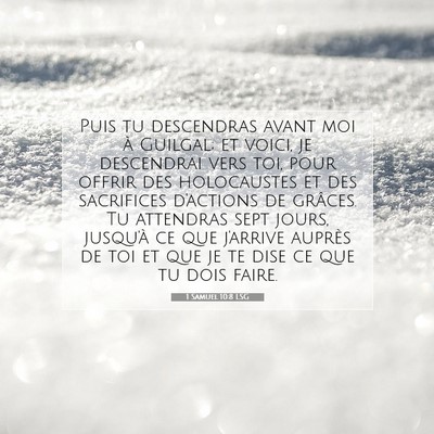 Picture 07 - 1 Samuel 10:8 LSG - Puis tu descendras avant moi à Guilgal; et - Bible Verse Picture