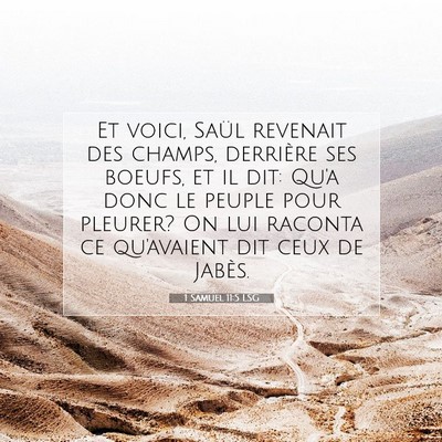Picture 07 - 1 Samuel 11:5 LSG - Et voici, Saül revenait des champs, derrière - Bible Verse Picture