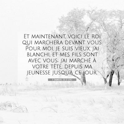 Picture 07 - 1 Samuel 12:2 LSG - Et maintenant, voici le roi qui marchera devant - Bible Verse Picture