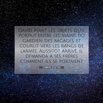 Picture 07 - 1 Samuel 17:22 LSG - David remit les objets qu'il portait entre les - Bible Verse Picture