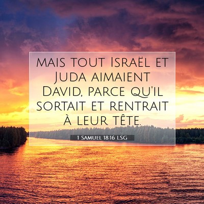Picture 07 - 1 Samuel 18:16 LSG - mais tout Israël et Juda aimaient David, parce - Bible Verse Picture