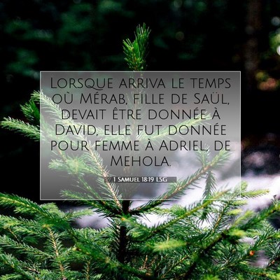 Picture 07 - 1 Samuel 18:19 LSG - Lorsque arriva le temps où Mérab, fille de - Bible Verse Picture