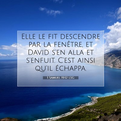 Picture 07 - 1 Samuel 19:12 LSG - Elle le fit descendre par la fenêtre, et David - Bible Verse Picture