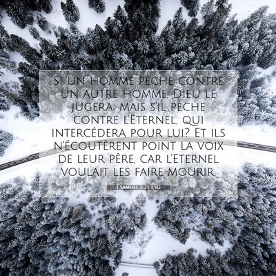 Picture 07 - 1 Samuel 2:25 LSG - Si un homme pèche contre un autre homme, Dieu le - Bible Verse Picture