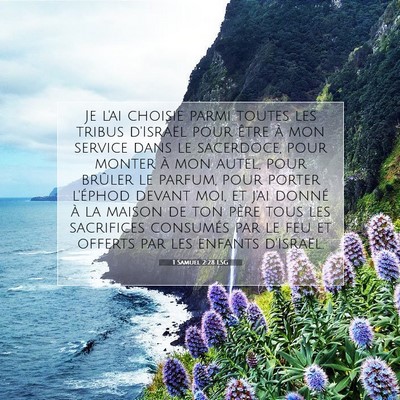 Picture 07 - 1 Samuel 2:28 LSG - Je l'ai choisie parmi toutes les tribus d'Israël - Bible Verse Picture