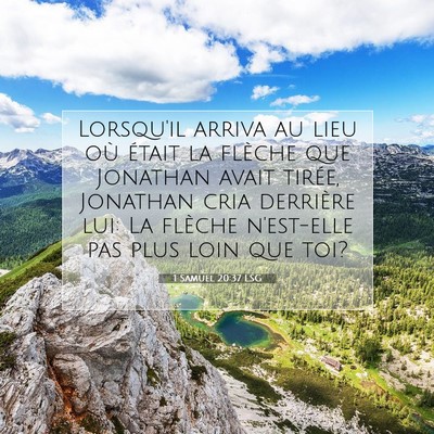 Picture 07 - 1 Samuel 20:37 LSG - Lorsqu'il arriva au lieu où était la flèche - Bible Verse Picture
