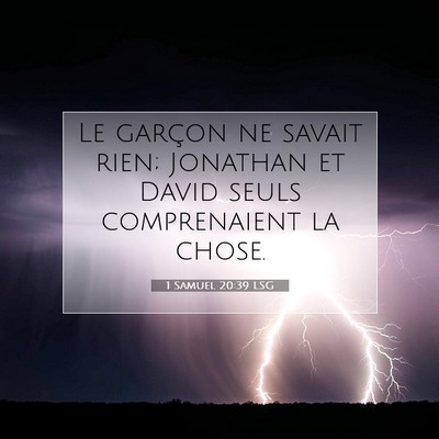 Picture 07 - 1 Samuel 20:39 LSG - Le garçon ne savait rien; Jonathan et David - Bible Verse Picture