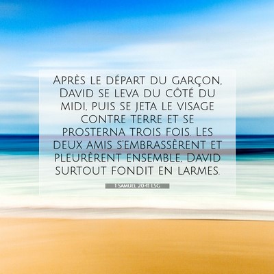 Picture 07 - 1 Samuel 20:41 LSG - Après le départ du garçon, David se leva du - Bible Verse Picture