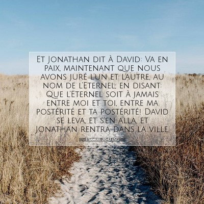 Picture 07 - 1 Samuel 20:42 LSG - Et Jonathan dit à David: Va en paix, maintenant - Bible Verse Picture