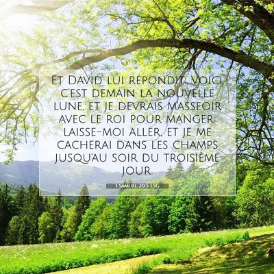 Picture 07 - 1 Samuel 20:5 LSG - Et David lui répondit: Voici, c'est demain la - Bible Verse Picture