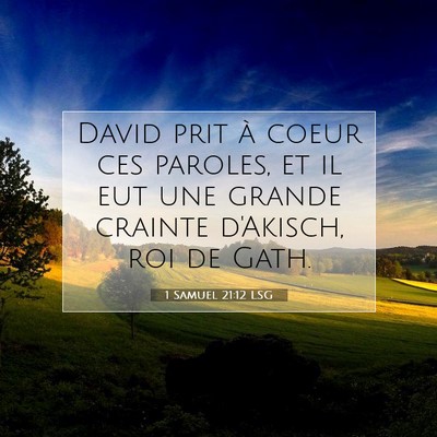 Picture 07 - 1 Samuel 21:12 LSG - David prit à coeur ces paroles, et il eut une - Bible Verse Picture