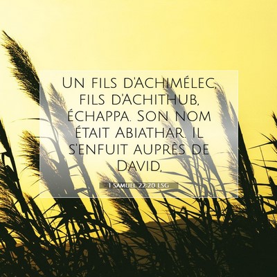 Picture 07 - 1 Samuel 22:20 LSG - Un fils d'Achimélec, fils d'Achithub, échappa. - Bible Verse Picture