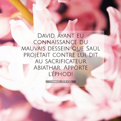 Picture 07 - 1 Samuel 23:9 LSG - David, ayant eu connaissance du mauvais dessein - Bible Verse Picture
