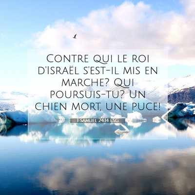 Picture 07 - 1 Samuel 24:14 LSG - Contre qui le roi d'Israël s'est-il mis en - Bible Verse Picture