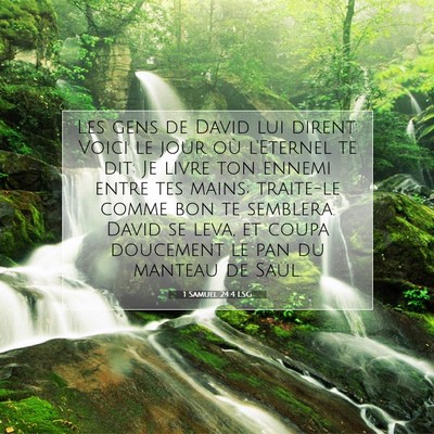 Picture 07 - 1 Samuel 24:4 LSG - Les gens de David lui dirent: Voici le jour où - Bible Verse Picture