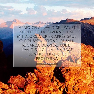 Picture 07 - 1 Samuel 24:8 LSG - Après cela, David se leva et sortit de la - Bible Verse Picture