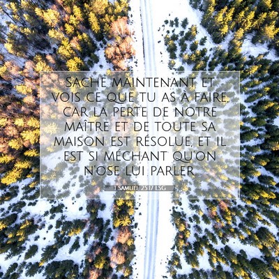 Picture 07 - 1 Samuel 25:17 LSG - Sache maintenant et vois ce que tu as à faire, - Bible Verse Picture