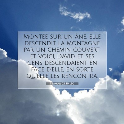 Picture 07 - 1 Samuel 25:20 LSG - Montée sur un âne, elle descendit la montagne - Bible Verse Picture