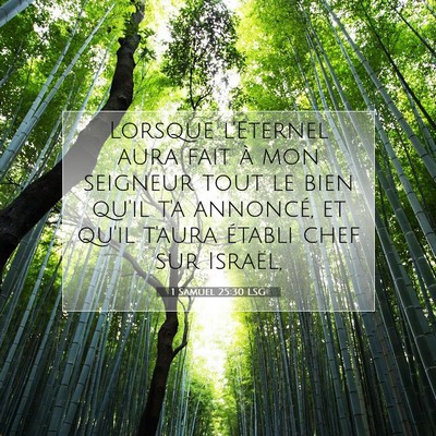 Picture 07 - 1 Samuel 25:30 LSG - Lorsque l'Eternel aura fait à mon seigneur tout - Bible Verse Picture