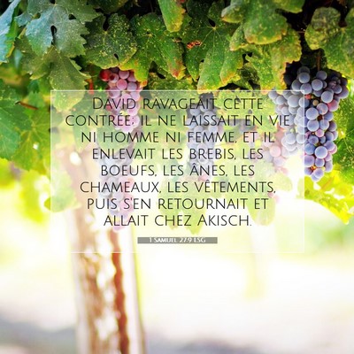 Picture 07 - 1 Samuel 27:9 LSG - David ravageait cette contrée; il ne laissait en - Bible Verse Picture