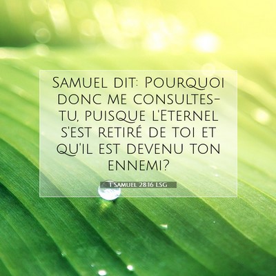 Picture 07 - 1 Samuel 28:16 LSG - Samuel dit: Pourquoi donc me consultes-tu, - Bible Verse Picture