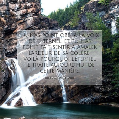 Picture 07 - 1 Samuel 28:18 LSG - Tu n'as point obéi à la voix de l'Eternel, et - Bible Verse Picture