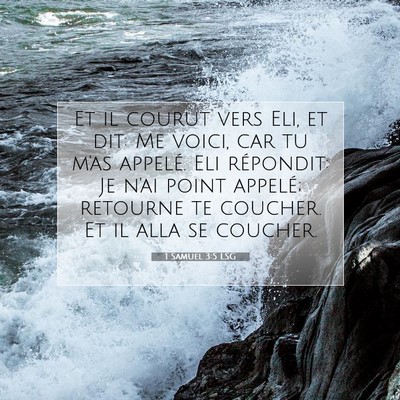 Picture 07 - 1 Samuel 3:5 LSG - Et il courut vers Eli, et dit: Me voici, car tu - Bible Verse Picture