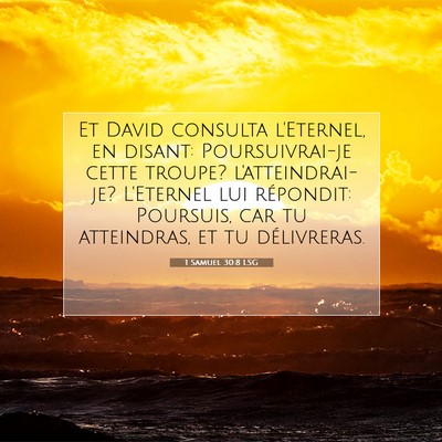 Picture 07 - 1 Samuel 30:8 LSG - Et David consulta l'Eternel, en disant: - Bible Verse Picture