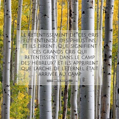 Picture 07 - 1 Samuel 4:6 LSG - Le retentissement de ces cris fut entendu des - Bible Verse Picture