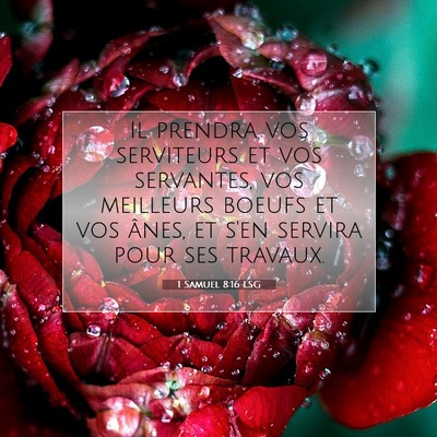 Picture 07 - 1 Samuel 8:16 LSG - Il prendra vos serviteurs et vos servantes, vos - Bible Verse Picture