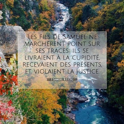 Picture 07 - 1 Samuel 8:3 LSG - Les fils de Samuel ne marchèrent point sur ses - Bible Verse Picture
