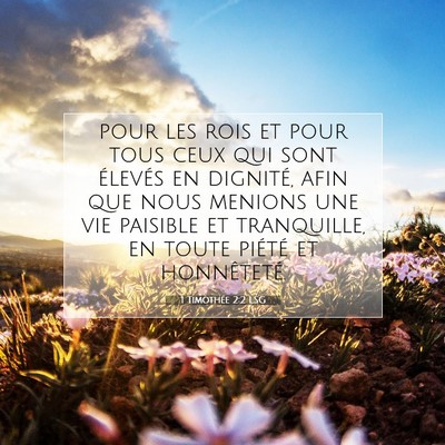 Picture 07 - 1 Timothée 2:2 LSG - pour les rois et pour tous ceux qui sont élevés - Bible Verse Picture