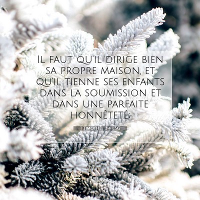 Picture 07 - 1 Timothée 3:4 LSG - Il faut qu'il dirige bien sa propre maison, et - Bible Verse Picture