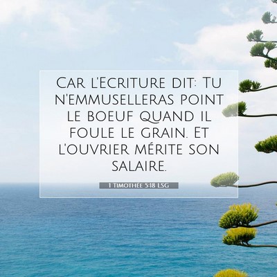 Picture 07 - 1 Timothée 5:18 LSG - Car l'Ecriture dit: Tu n'emmuselleras point le - Bible Verse Picture